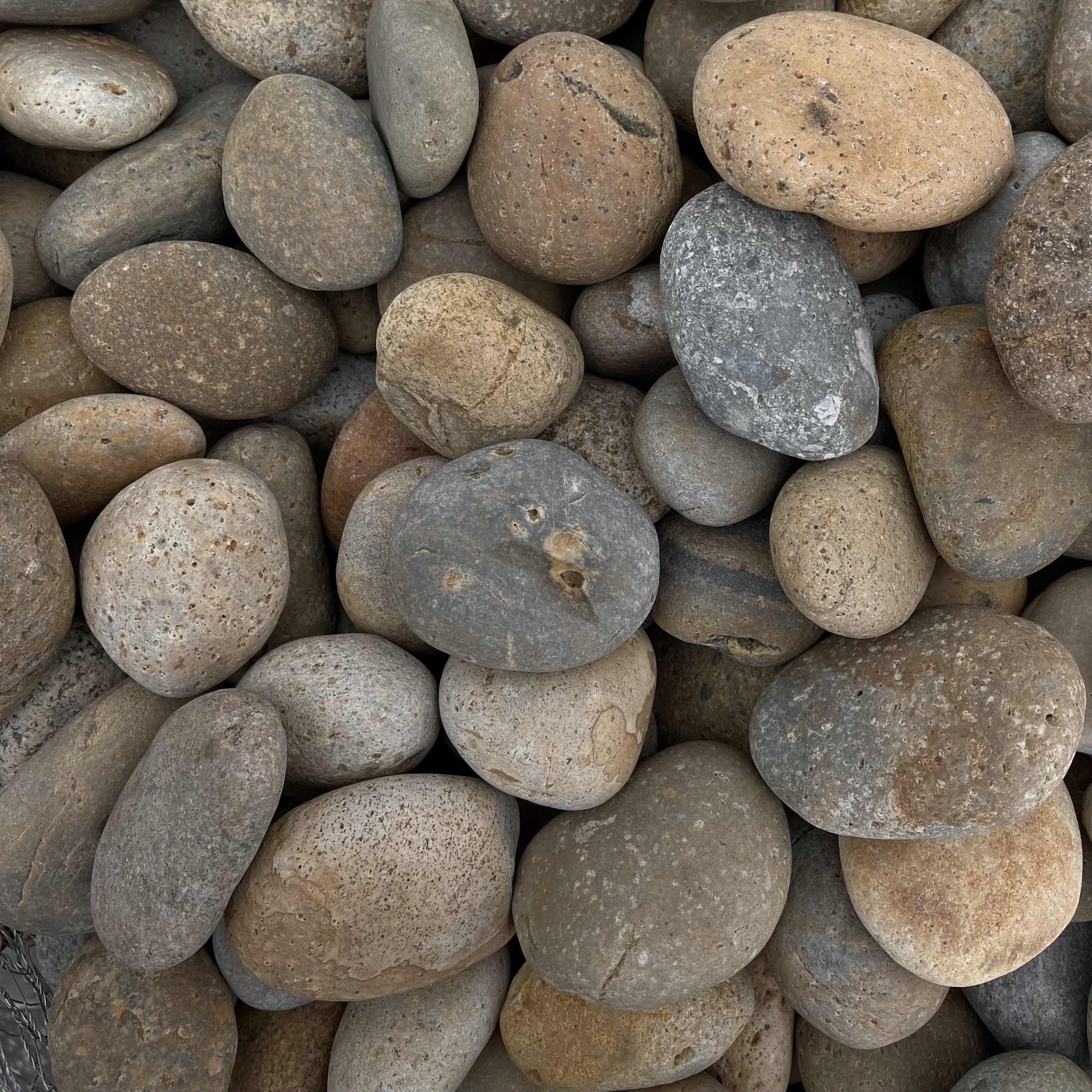 Buff Mexican Beach Pebble
