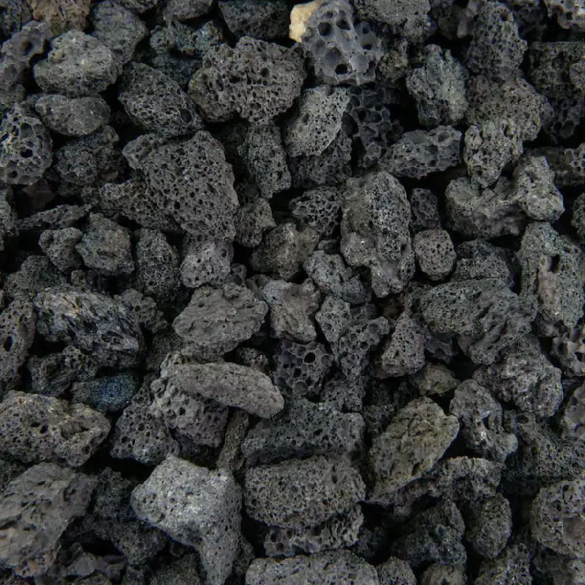 Black Lava Rock