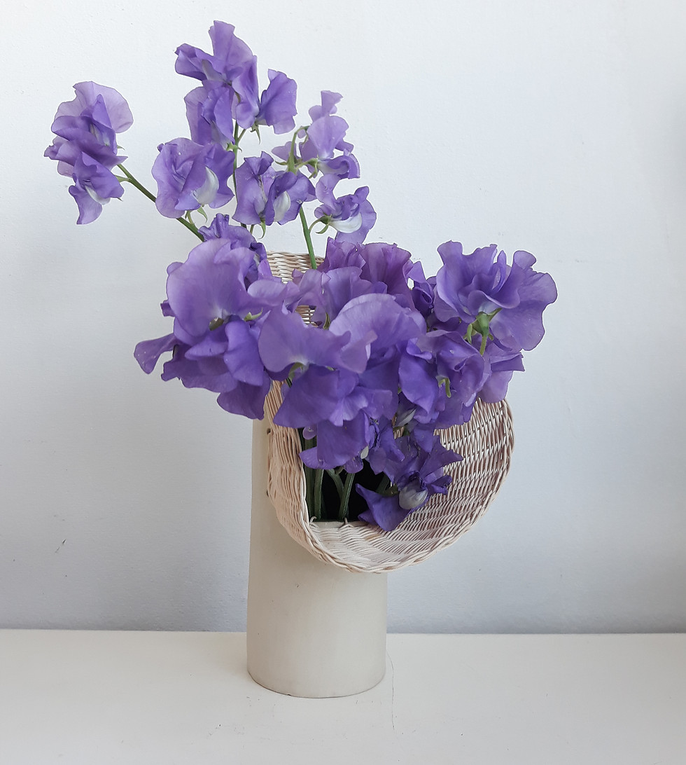 VASE COQUE