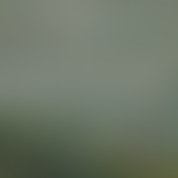 Memoir vs Autobiography: Why Memoirs Are More Marketable (and Versatile) Than You Think