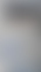 とやままつりPRイベント