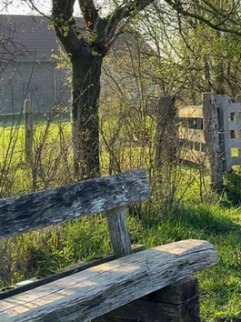 Een verlaten boerderij op de route van Neer naar Buggenum