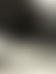 Een oude schuur met op de voorgrond een auto