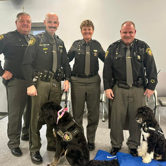 Bluegrass Bernedoodles Oliver Hamilton County Sheriff's Therapy Dog