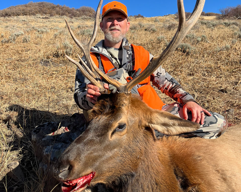 Man Peering through Elk Antlers