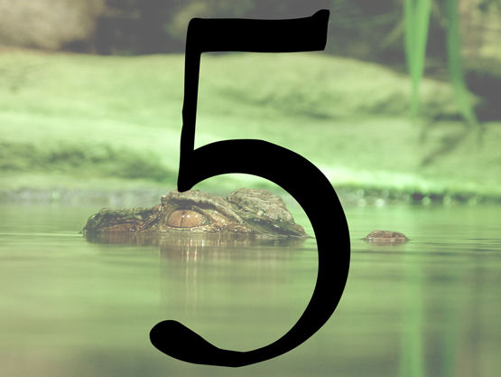 You Make A Nice Purse - 5 of 6