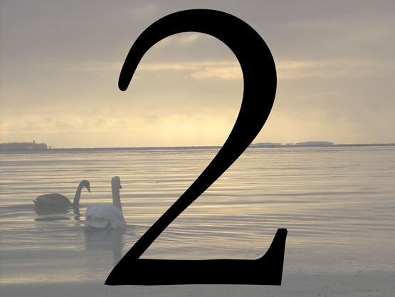Ten Fingers Ten Toes - 2 of 6