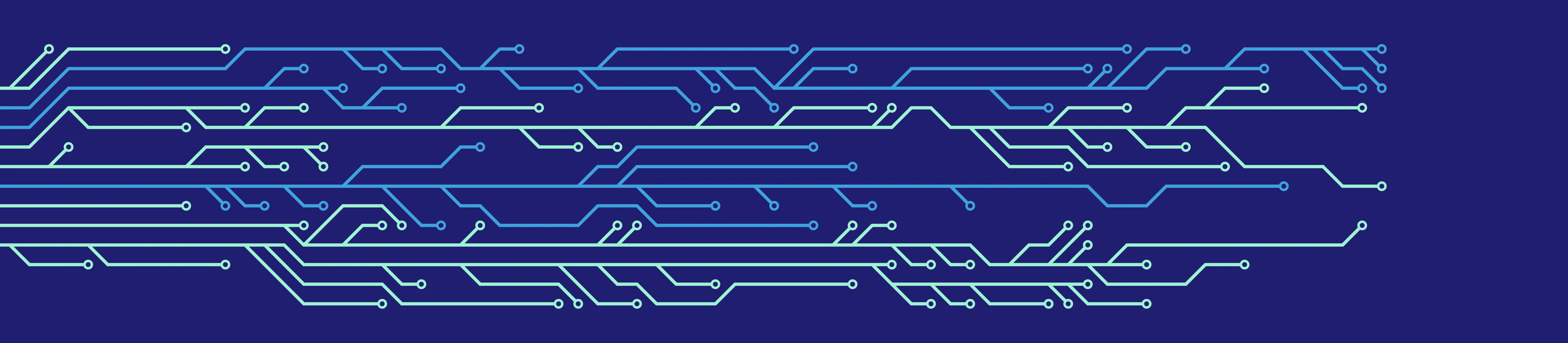 Circuit Primary (1).webp