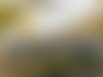 Gruppenfoto der Firma Gluschitsch