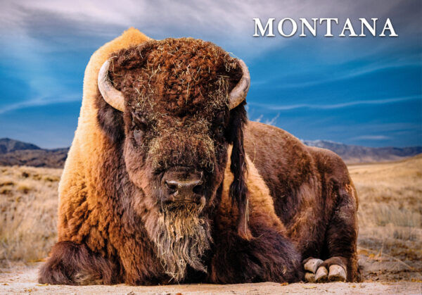 Captain Jake's 3D Post Cards - Montana Scenes