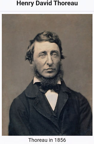 Thoreau - pic.jpg