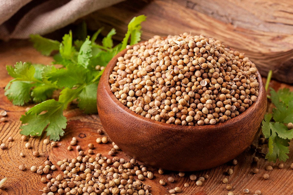 Haliq Coriander Seeds