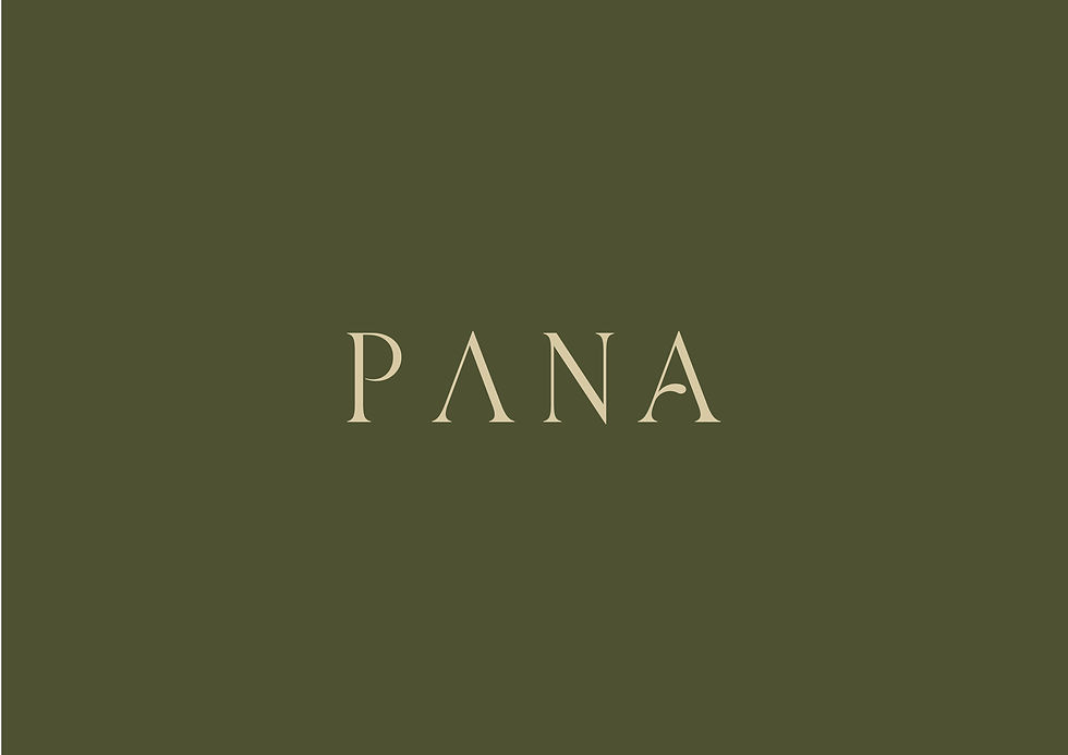 PANA_LOGOTIPO_SIMPLIFICADO_B-29.jpg