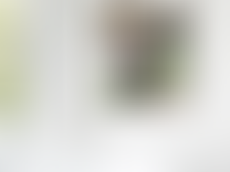 Home Art Framed Canvas of Adult Amateur Equestrian with her horse from professional equine photographer Forest Road Photography in Wisconsin