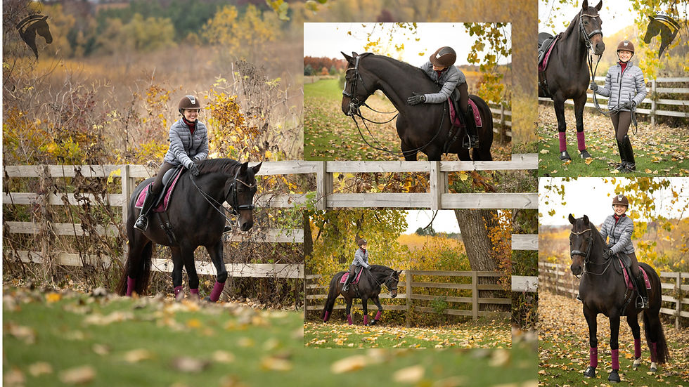 Northern Illinois horse photography with girl leaning against her horse surrounded by fall foliage