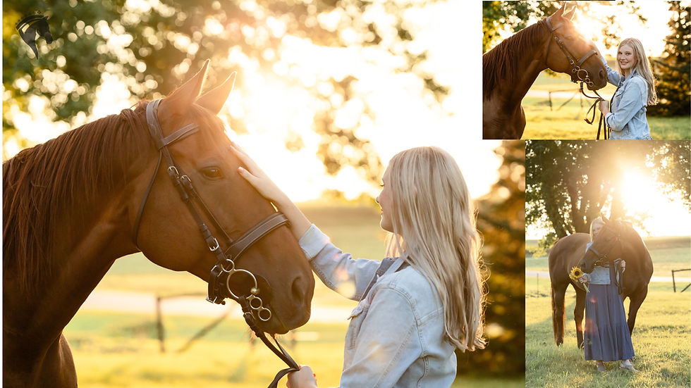 Close-up of horseās face framed by colorful autumn leaves in Milwaukee WI