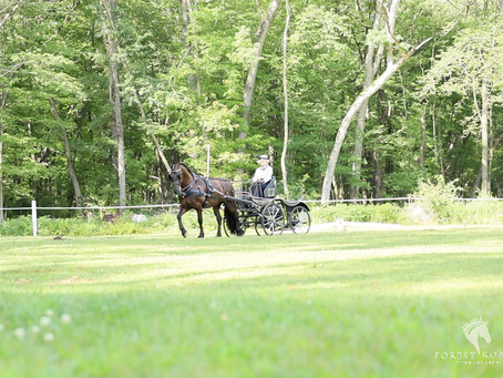 Elegance, Connection & Teamwork | Stephanie & Victor | Boutique Equestrian Videography in Wisconsin