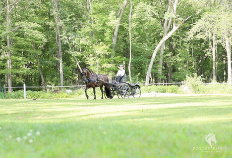 Elegance, Connection & Teamwork | Stephanie & Victor | Boutique Equestrian Videography in Wisconsin 