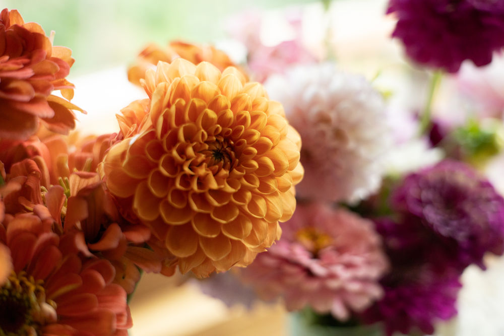 Cornel Bronze Dahlia bouquet from Flowers on Crawford, Baraboo, Wi