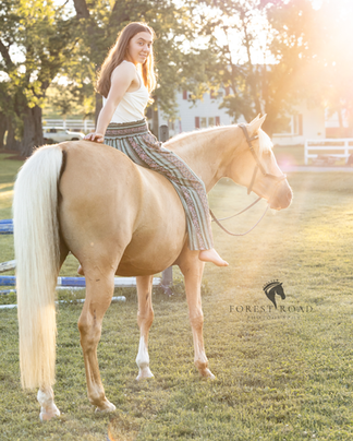 High school senior enjoying a bareback ride in a sunlit pasture for her boutique equestrian portraits.