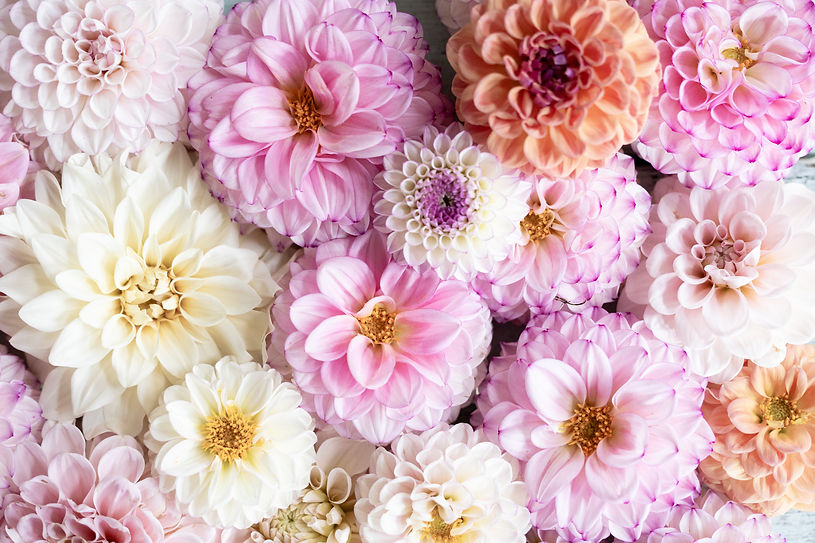 pick your own bridal bouquet at flowers on crawford in baraboo