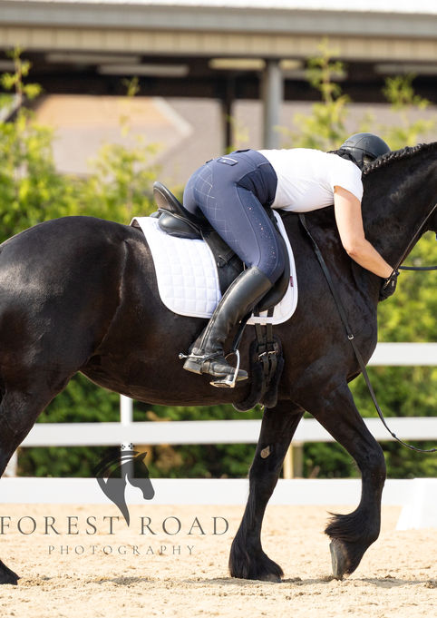 candid moments equestrian photographer in wisconsin