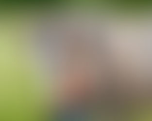 Allie & Smokey | Boutique Equestrian Photography in Wisconsin | Forest Road Photography