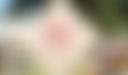 Villa Louis Carriage Classic, Prairie du Chien | Boutique Equestrian Videography in Wisconsin 