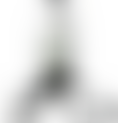 The Essential Guide to Maintaining Professional Sprayers and the Importance of Daily Rinsing