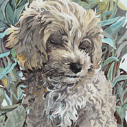 020, 박계숙, 나르시스의 정원-7, 34 x 23 cm, 아크릴에 캔버스, 2021, 70만원.jpg