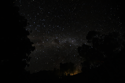 풍경_나무에 걸린 별, 안다시베_마다가스카르, 30.5 x 45