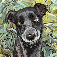 029, 박계숙, 나르시스의 정원-잠복근무2, 40.5 x 27.0 cm, 아크릴에 캔버스, 2021, 80만원.jpg