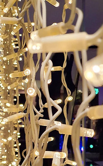 fairy lights to rent Cape Town