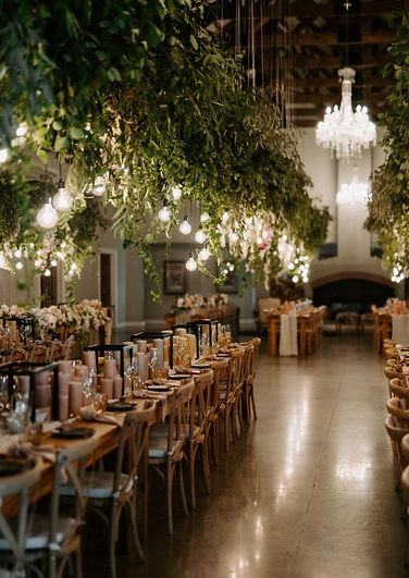 naked bulbs weddings Cape Town