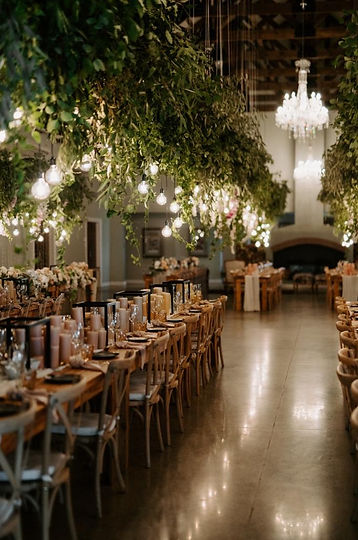 naked bulbs hire Cape Town
