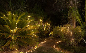 fairy lights to hire weddings cape town
