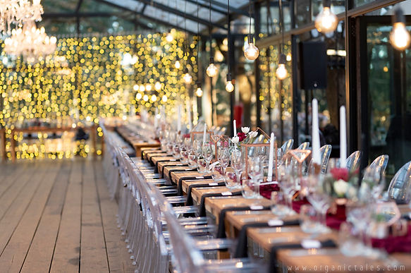 Die Woud wedding lighting