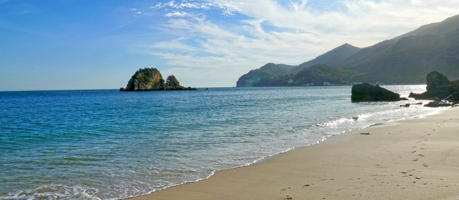 ARRÁBIDA O SOS DA NATUREZA
