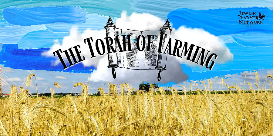 The Torah of Farming- Insta (Banner (Landscape)).jpg