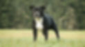 IMG_8580-Edit_edited.jpg
