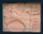 naga himachal 22sep 080