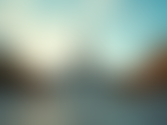 Steps to Get Involved in Local Politics Participation