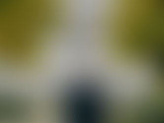 Demystifying the Legislative Process from Bill to Law