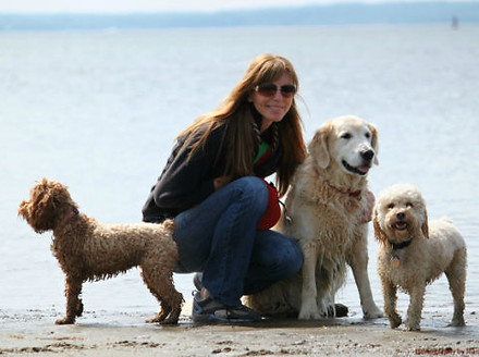 Rye Dog Walking