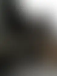 美国将在特朗普就职前加速向乌克兰提供援助
