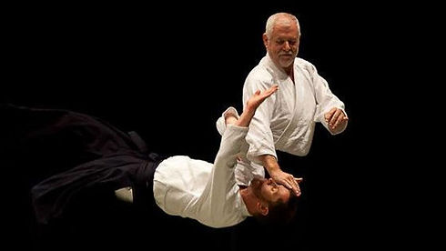 Aikido Adulto Mayor.jpeg
