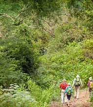 Trekking en San Martin de los Andes