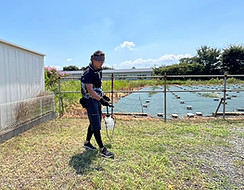 IMG_D20D1C9070A8-1.jpeg