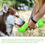 Thumbnail: Portable Doggy Water Cup & Poop Tackle