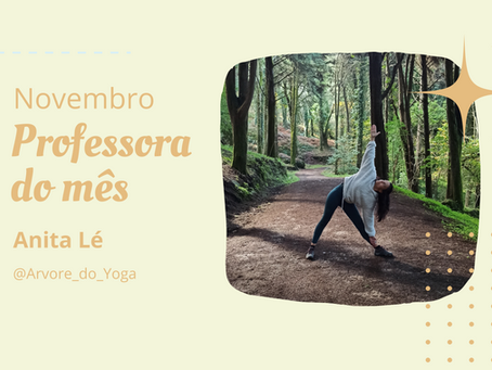 Professora do mês de Novembro - Anita Lé